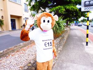 1235477_167353856787282_696143436_n